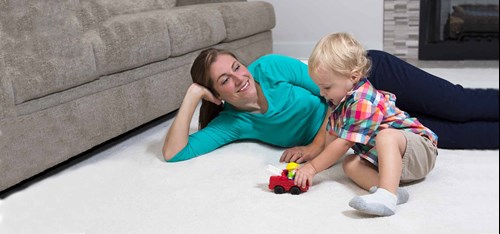 Professional Carpet Cleaning Flat Rock NC